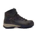 Men's Trento GTX Walking Boots