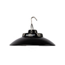 Pulsar Light