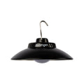 Pulsar Light