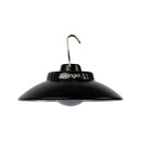 Pulsar Light