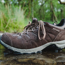 Meindl Rapide GTX - Brown- Great Outdoors Ireland