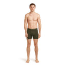 Icebreaker Men's Merino 150 Anatomica Boxers full length front, Dark Loden