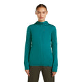 Women's Merino 200 Realfleece Descender Hoodie