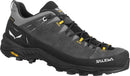 Salewa Alp Trainer 2 GTX Shoe - Onyx/Black  