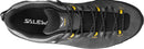 Salewa Alp Trainer 2 GTX Shoe - Onyx/Black  