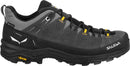 Salewa Alp Trainer 2 GTX Shoe - Onyx/Black  