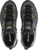 Salewa Alp Trainer 2 GTX Shoe - Onyx/Black  