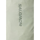 Salomon Trailblazer 10 - Sedona Sage  