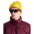Salty Lined Beanie