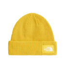 Salty Lined Beanie