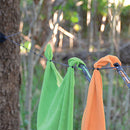 Lite Line Clothesline