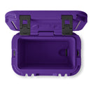Roadie 15 Cool Box