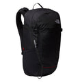 Basin 24-Litre Backpack