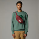 The North Face Berkeley Lumbar Bum Bag  