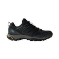 Men's Hedgehog GORE-TEX Hiking Shoe