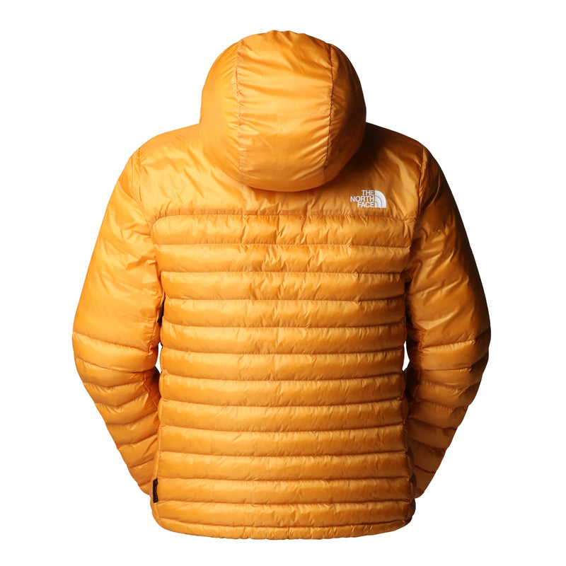 The North Face Men's Terra Peak Hooded Jacket  