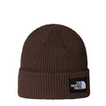 The North Face Salty Lined Beanie  