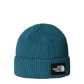 The North Face Salty Lined Beanie  