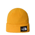 The North Face Salty Lined Beanie  