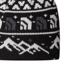 The North Face Ski Tuke Beanie  