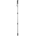 Walker Lock Walking Pole - Single