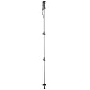 Trekmates Walker Lock Walking Pole - Single  