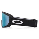 Flight Deck L Snow Goggles - Matt Black - Prizm Sage Gold