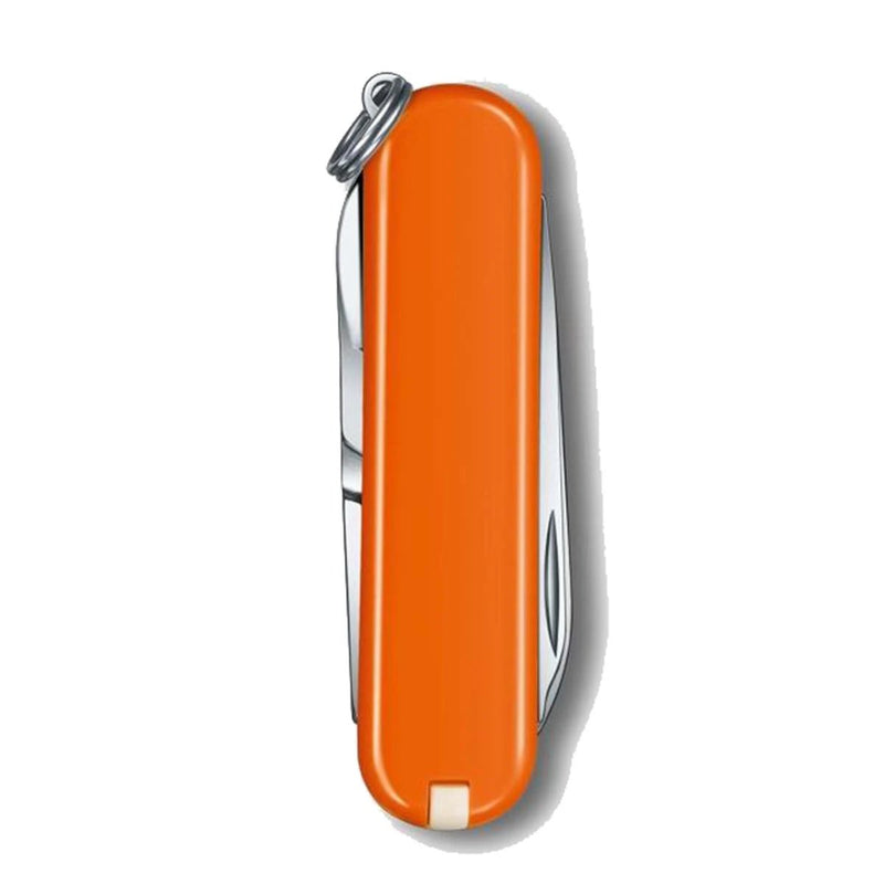 Victorinox Classic SD - Mango Tango  