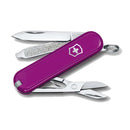 Victorinox Classic SD - Tasty Grape  