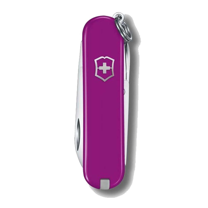 Victorinox Classic SD - Tasty Grape  