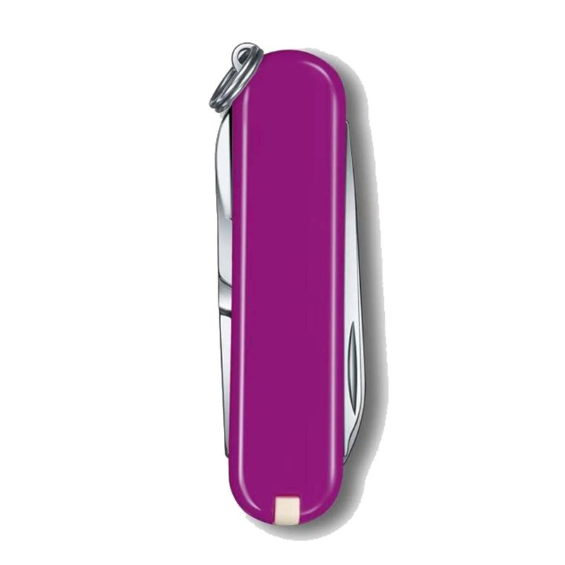 Victorinox Classic SD - Tasty Grape  