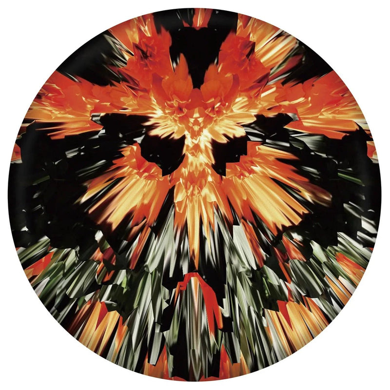 Waboba Wingman Pro 8.2" Flying Disc  