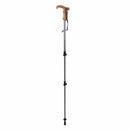 Wanderer Lock Walking Pole