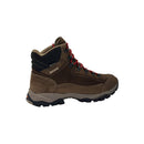 Women's Baltimore GTX - Chestnut