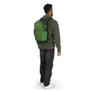 Osprey Daylite Plus Backpack worn, full length back, Green Belt/Green Canopy