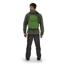 Osprey Daylite Plus Backpack worn, full length back, Green Belt/Green Canopy
