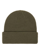 Green beanie on a white background