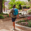 Daylite™ Plus - Blue Spikemoss/Alkaline