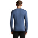 Back view of a person wearing a blue Icebreaker Men’s Merino 260 Tech Long Sleeve Crew, a long-sleeve base layer with visible seams designed for cold-weather layering.