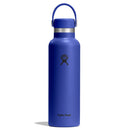 21 oz (621 ml) Standard Mouth Water Bottle