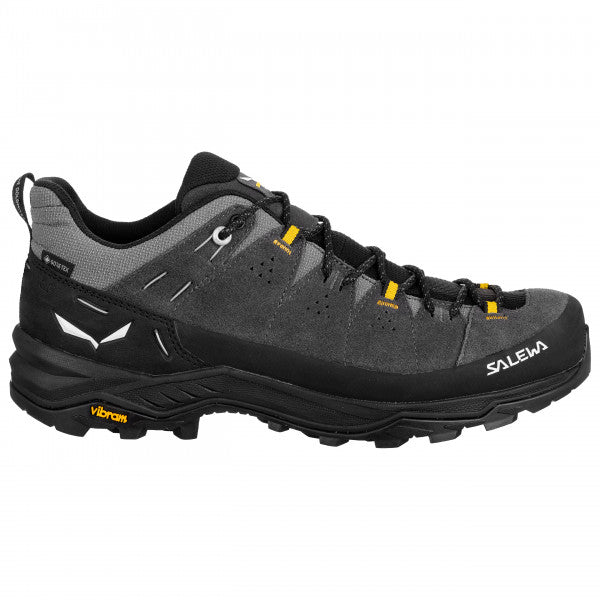Alp Trainer 2 GTX Shoe - Onyx/Black
