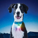 SpotLit® XL Rechargeable Carabiner Light