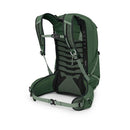 Osprey Talon 22 Backpack back view, Green Canopy/Pine Leaf