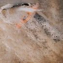 Fidlock Hermetic Medium Dry Bag - Orange/Transparent - Great Outdoors Ireland